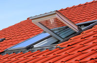 Buxted roof window
