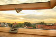 rated Buxted roof window companies